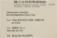 鞭枝懸蘚藏品圖，第2張