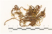 登錄號:B00011412藏品圖，第1張