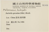 登錄號:B00011416藏品圖，第2張