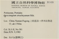 扭葉叢本蘚藏品圖，第2張