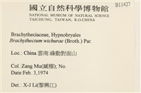 威氏青蘚藏品圖，第2張