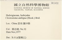 蔓枝蘚藏品圖，第2張