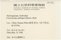 蔓枝蘚藏品圖，第2張