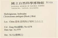 蔓枝蘚藏品圖，第2張