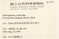 蔓枝蘚藏品圖，第2張