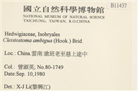 蔓枝蘚藏品圖，第2張