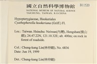 登錄號:B00011520藏品圖，第2張