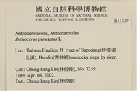 登錄號:B00011529藏品圖，第2張