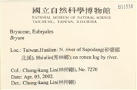 登錄號:B00011538藏品圖，第2張