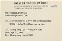 登錄號:B00011551藏品圖，第2張