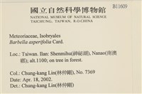 登錄號:B00011609藏品圖，第2張