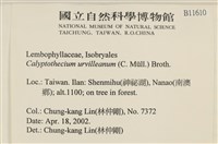 登錄號:B00011610藏品圖，第2張