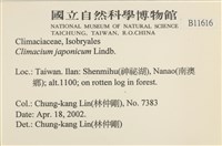 登錄號:B00011616藏品圖，第2張