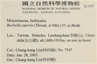 登錄號:B00011643藏品圖，第2張