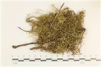 登錄號:B00011643藏品圖，第1張