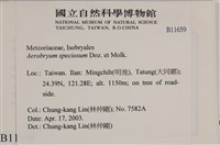 登錄號:B00011659藏品圖，第2張