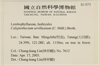 登錄號:B00011670藏品圖，第2張