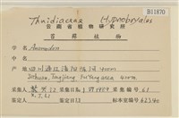 登錄號:B00011870藏品圖，第2張