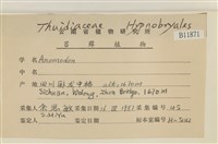 登錄號:B00011871藏品圖，第2張