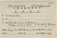 登錄號:B00011873藏品圖，第2張