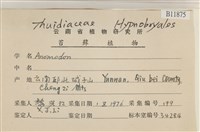 登錄號:B00011875藏品圖，第2張