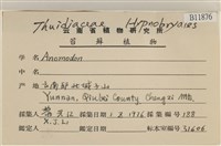 登錄號:B00011876藏品圖，第2張