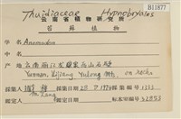 登錄號:B00011877藏品圖，第2張