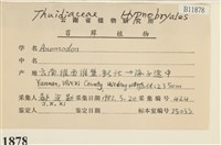 登錄號:B00011878藏品圖，第2張