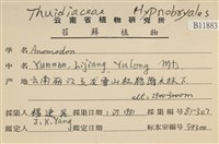 登錄號:B00011883藏品圖，第2張