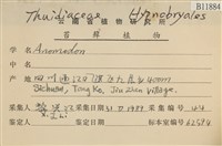 登錄號:B00011884藏品圖，第2張