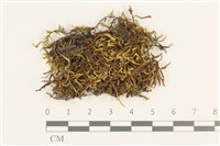 登錄號:B00011884藏品圖，第1張