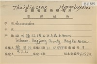 登錄號:B00011885藏品圖，第2張