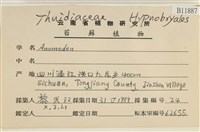 登錄號:B00011887藏品圖，第2張