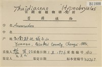 登錄號:B00011888藏品圖，第2張