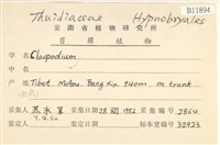 登錄號:B00011894藏品圖，第2張