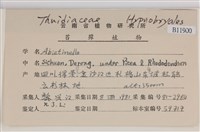 登錄號:B00011900藏品圖，第2張