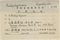 登錄號:B00011909藏品圖，第2張