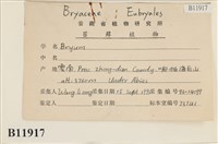 登錄號:B00011917藏品圖，第2張