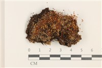 登錄號:B00011917藏品圖，第1張