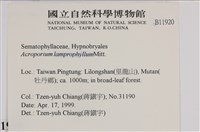 登錄號:B00011920藏品圖，第2張