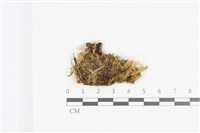 登錄號:B00011924藏品圖，第1張