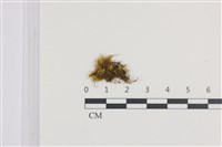 登錄號:B00011927藏品圖，第1張