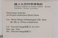 大灰氣蘚藏品圖，第2張