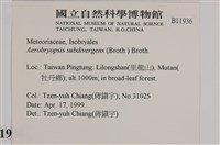 大灰氣蘚藏品圖，第2張