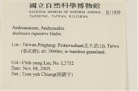 登錄號:B00011939藏品圖，第2張