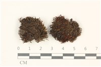 登錄號:B00011939藏品圖，第1張