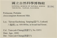 索氏叢本蘚藏品圖，第2張