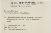 登錄號:B00011945藏品圖，第2張