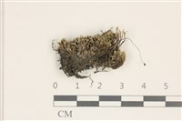 登錄號:B00011945藏品圖，第1張