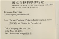 登錄號:B00011946藏品圖，第2張